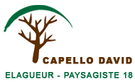 Capello David